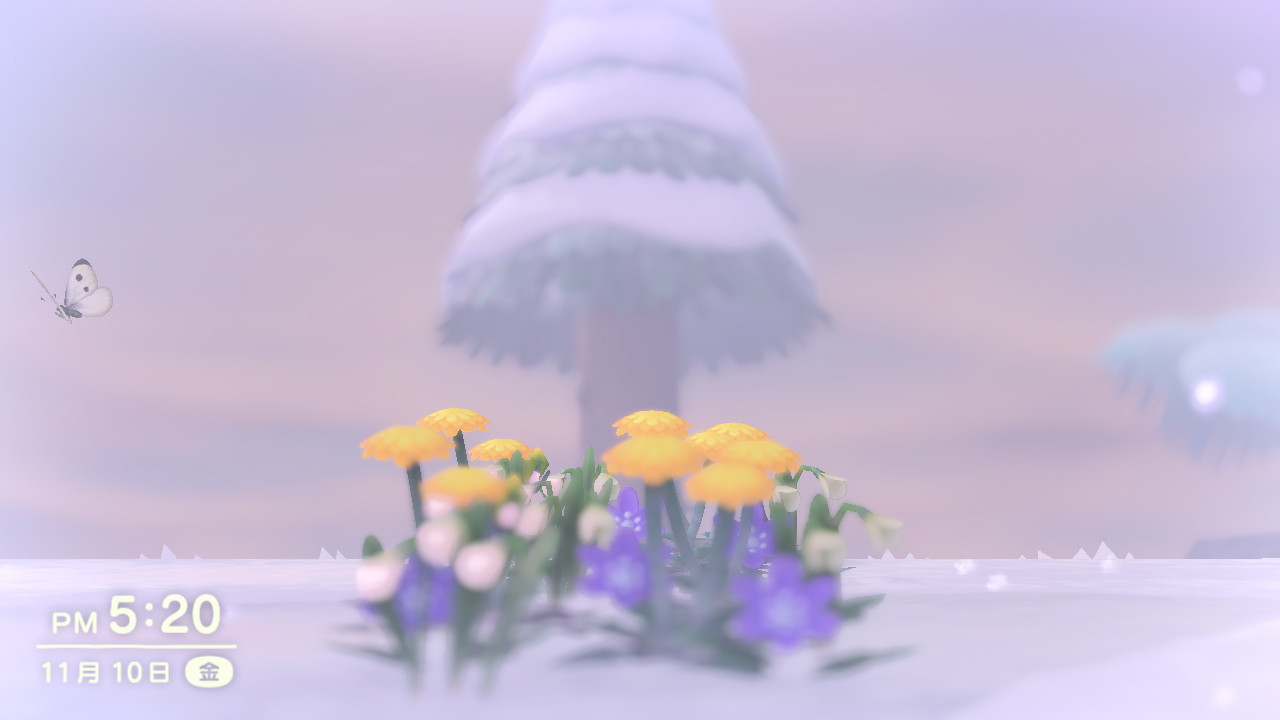 202311111331223-izuru.jpeg